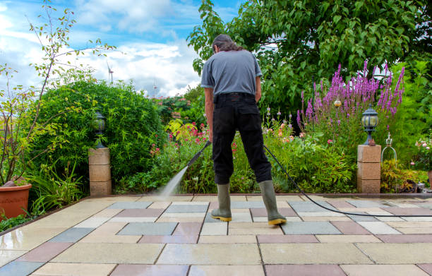 Best Patio and Deck Pressure Washing  in Greenville, MS
